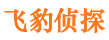 滑县市侦探公司